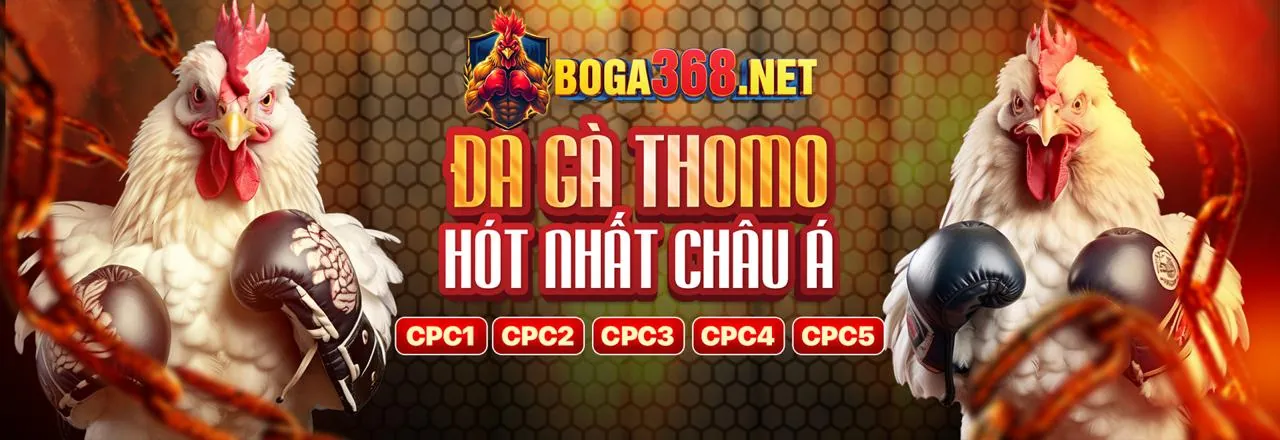 Hình ảnh đại diện cho cá cược có trách nhiệm tại 99kim win